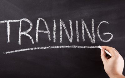 Révolution Secrète : Comment les Jeux Vidéo Transforment la Formation Professionnelle